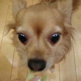 �p���p����