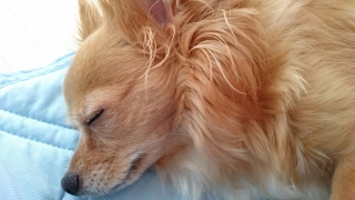 �����Ȃ��Ă���