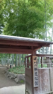 �X��̓m������