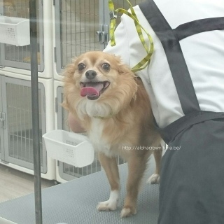 #�����̎q�L�O��