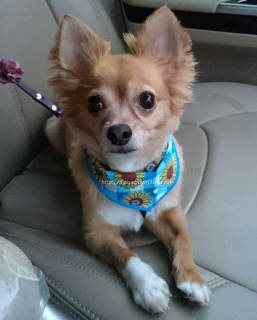 �U�N�O�̍���