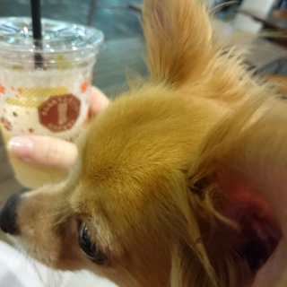 #�e���X�� �Ƃ������Ƃ�