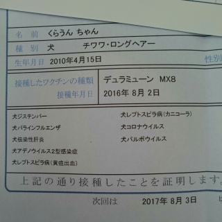 予防接種とダイエット