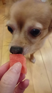 ���������ƃX�C�J ���m��