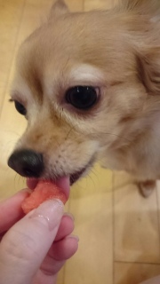 ���������ƃX�C�J ���m�O